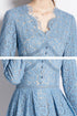 Runway Fashion Autumn Elegant Lace Midi Dress, V-Neck, Long Sleeve, Cocktail, Party, Office & Eveningwear