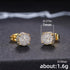 2 Pairs Gold & Silver Micro Pave 14K Gold Plated Cubic Zirconia Men & Women Stud Earrings