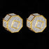 Exquisite 18K Gold Plated Micro Pave 11mm Cubic Zircon Men Women Stud Earring