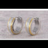 2Tone Titanium Frosted Gold Silver Hypoallergenic Men Women Huggie Hoop Earrings